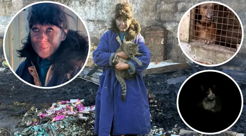 atak Putina na schronisko dla zwierzat