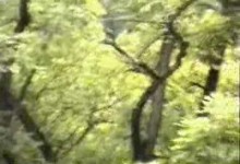 Trembowla - część 1 Trembowla - część 1