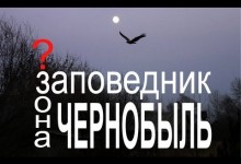 Niesamowity film ze Strefy Czarnobylskiej Niesamowity film ze Strefy Czarnobylskiej