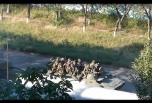 Dokąd tą „dużą grupą” zmierzają Rosjanie? Dokąd tą „dużą grupą” zmierzają Rosjanie?