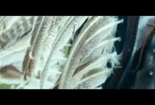 Wojna o Kresy - Orły na Kremlu Wojna o Kresy - Orły na Kremlu
